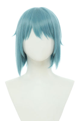 Officially Licensed Puella Magi Madoka Magica Miki Sayaka Cosplay Wig - One Size